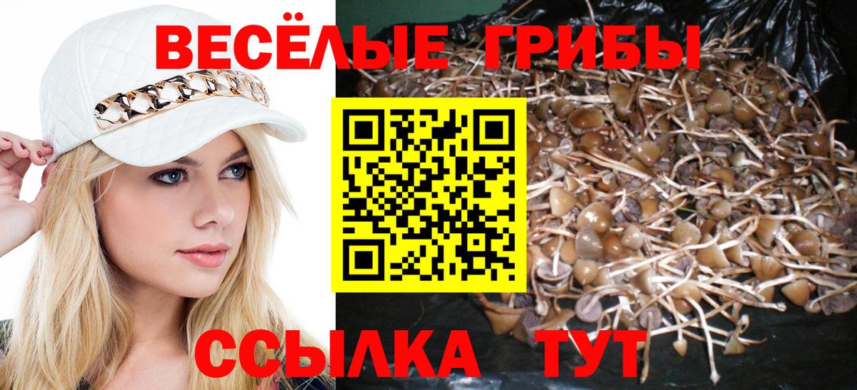 Тула  Псилоцибиновые грибы мухоморы  закладки  Вход с VPN 